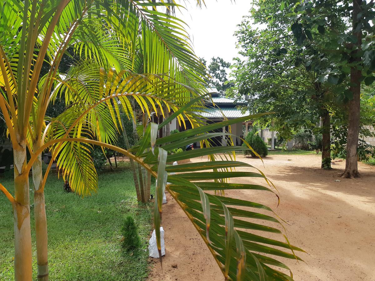 Tamarind Tamarind Resort, Tourist Board Approved Хабарана Экстерьер фото